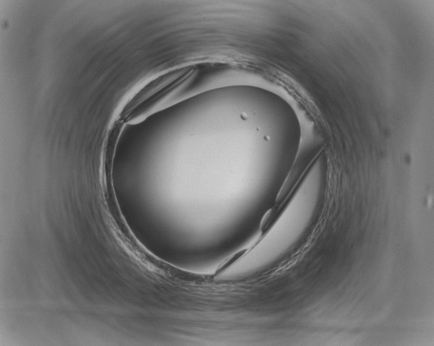 X0000081420788200701261552