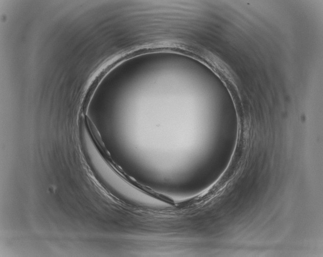 X0000081420789200701261552