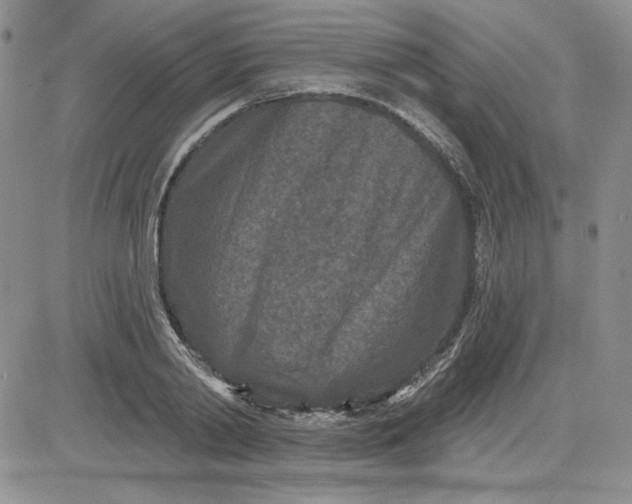 X0000081420790200701261552