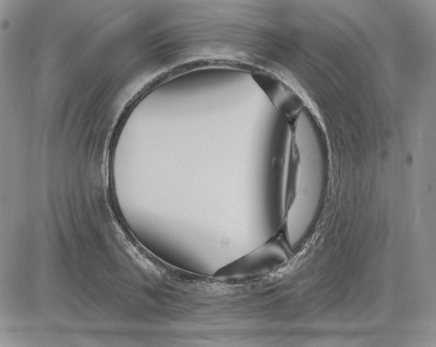 X0000081420791200701261552