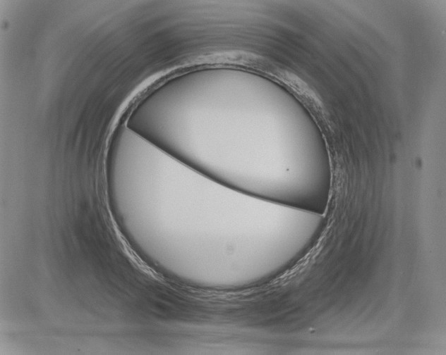 X0000081420792200701261552