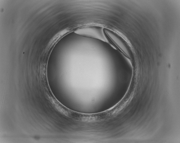 X0000081420793200701261552