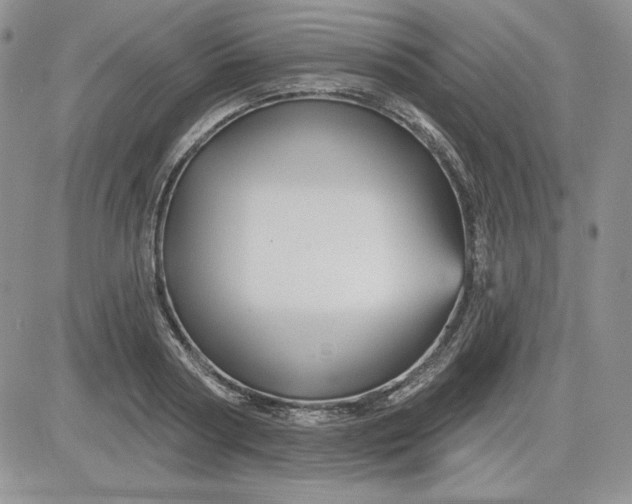 X0000081420794200701261552