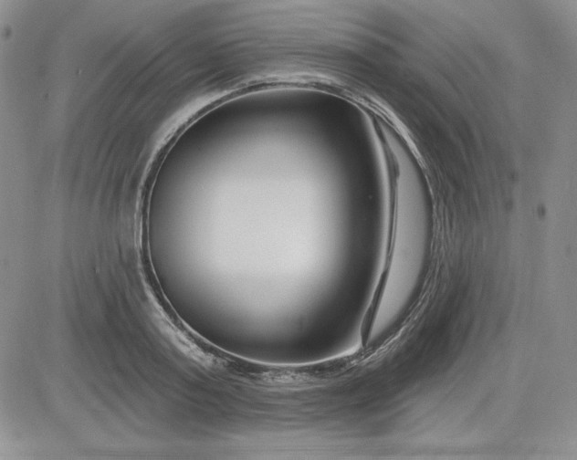 X0000081420795200701261552