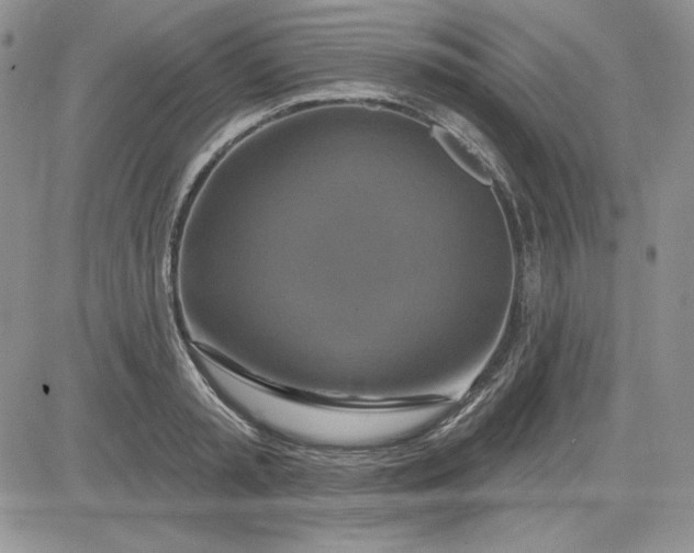 X0000081420797200701261552