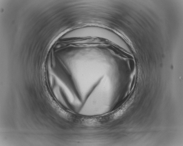 X0000081420798200701261552