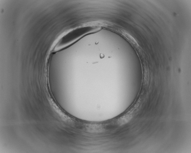 X0000081420800200701261552