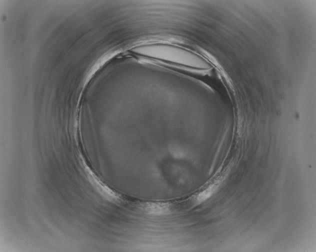 X0000081420802200701261552