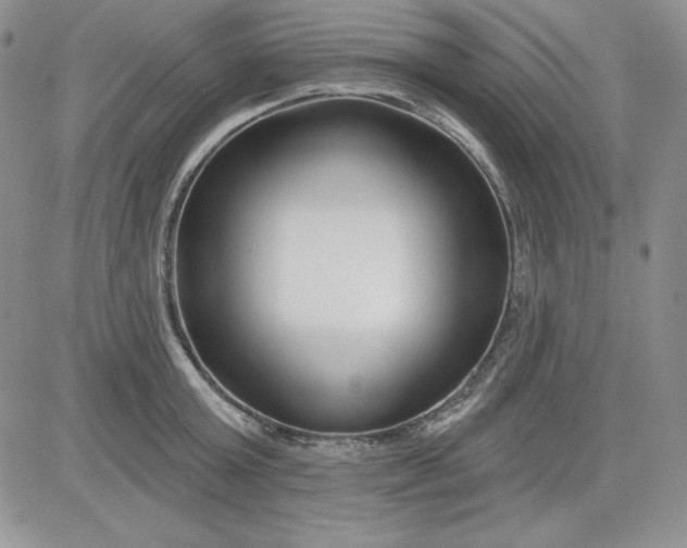 X0000081420803200701261552