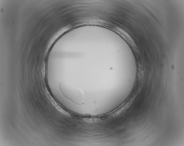 X0000081420804200701261552