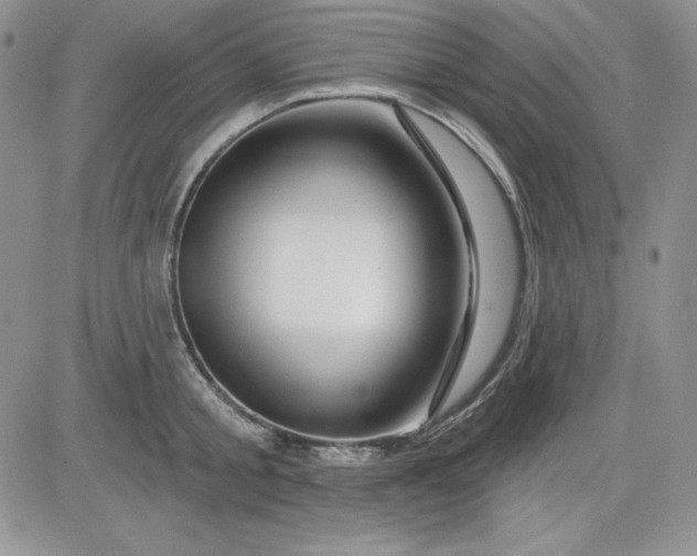 X0000081420805200701261552