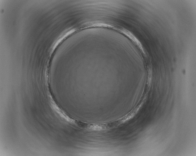 X0000081420806200701261552