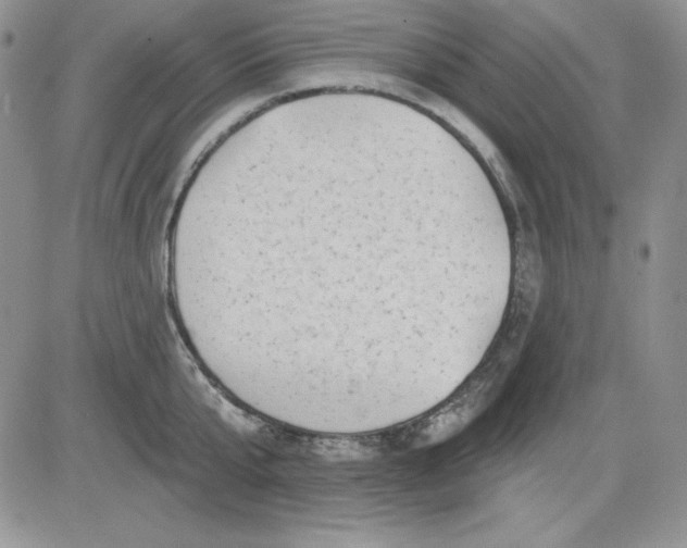 X0000081420807200701261552