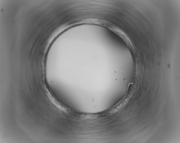 X0000081420808200701261552