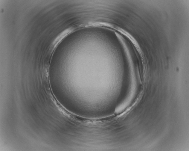 X0000081420809200701261552