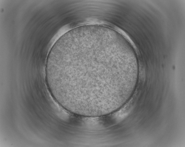 X0000081420810200701261552