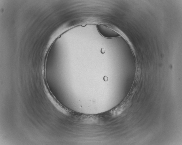 X0000081420811200701261552