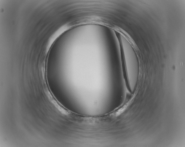 X0000081420812200701261552