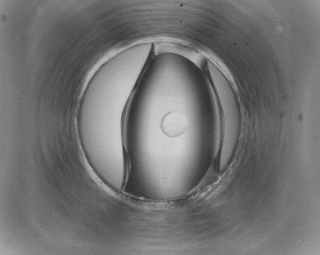 X0000081420813200701261552