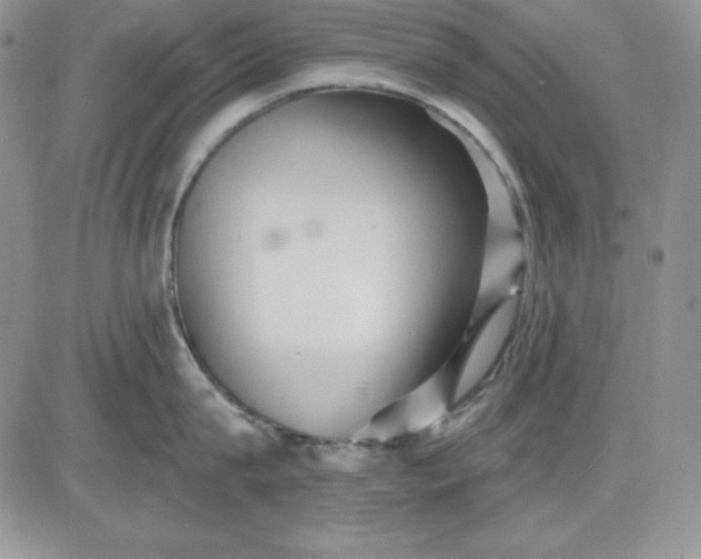 X0000081420815200701261552