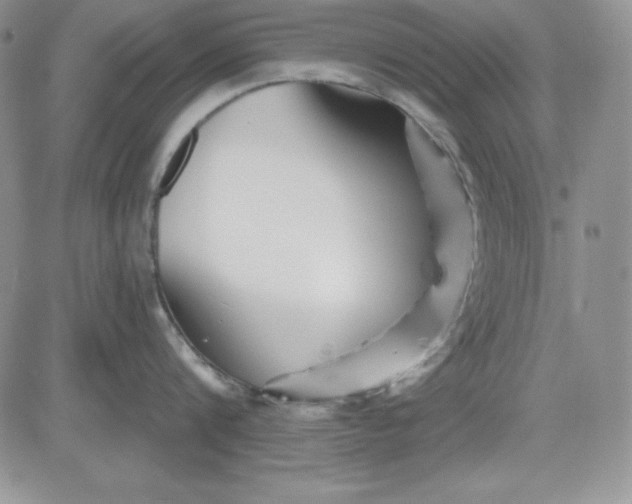 X0000081420816200701261552