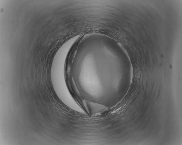 X0000081420818200701261551