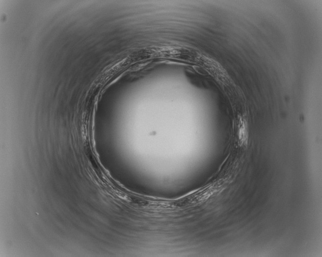 X0000081420819200701261551