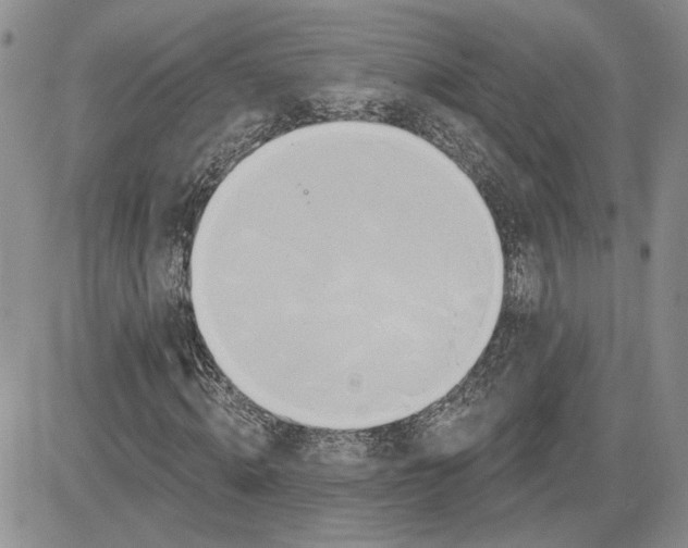 X0000081420820200701261551