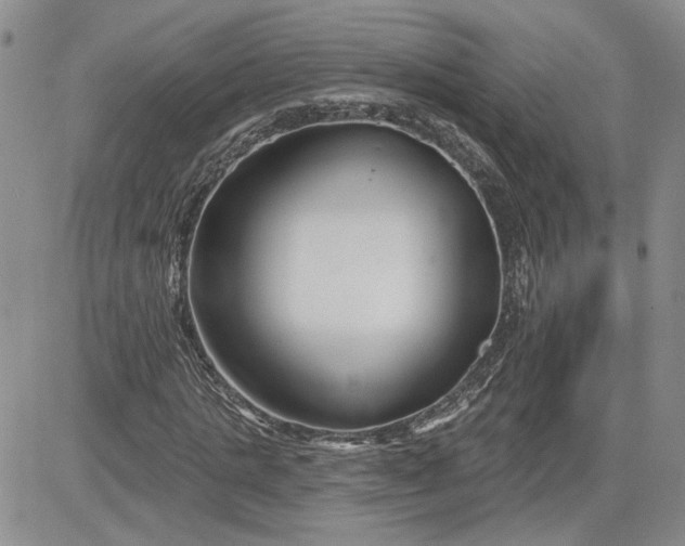 X0000081420821200701261551