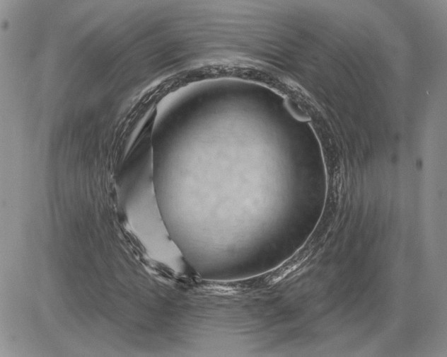 X0000081420822200701261551