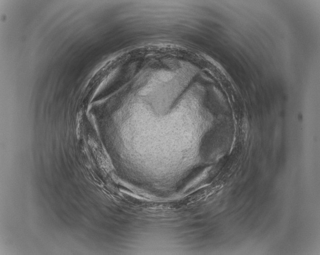 X0000081420823200701261551