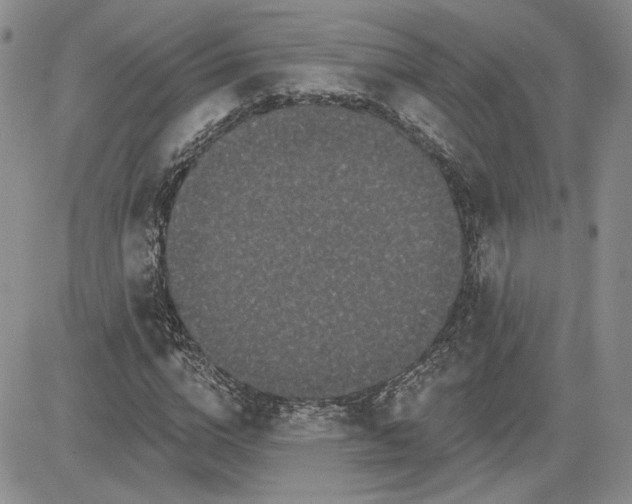 X0000081420824200701261551