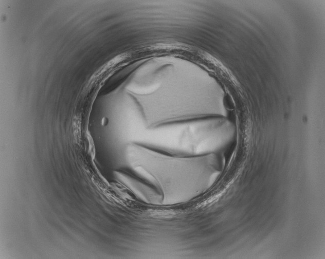 X0000081420825200701261551