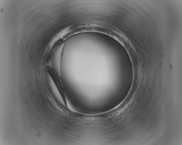 X0000081420826200701261551