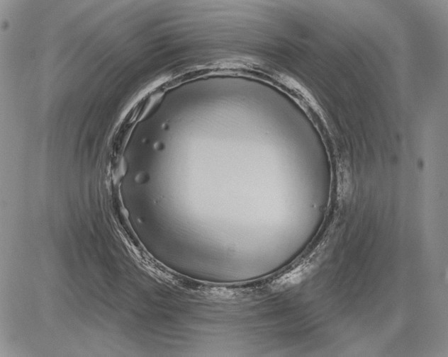 X0000081420827200701261551