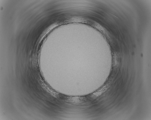 X0000081420828200701261551