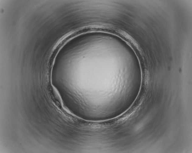 X0000081420829200701261551