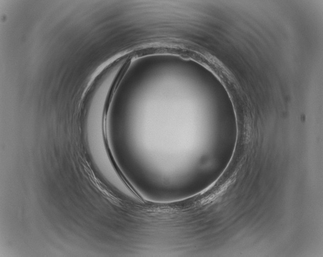 X0000081420830200701261551