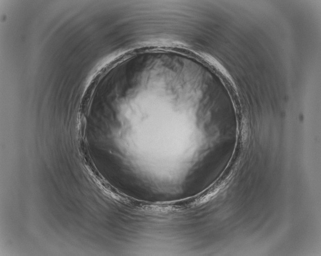 X0000081420831200701261551