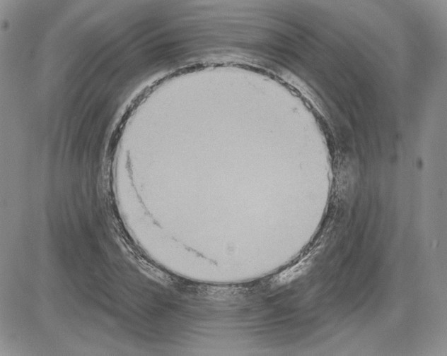 X0000081420832200701261551