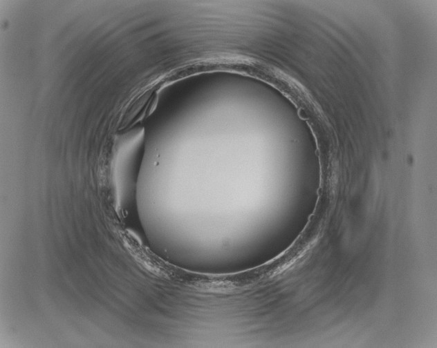 X0000081420833200701261552