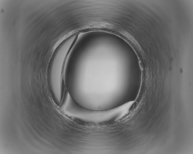 X0000081420834200701261552