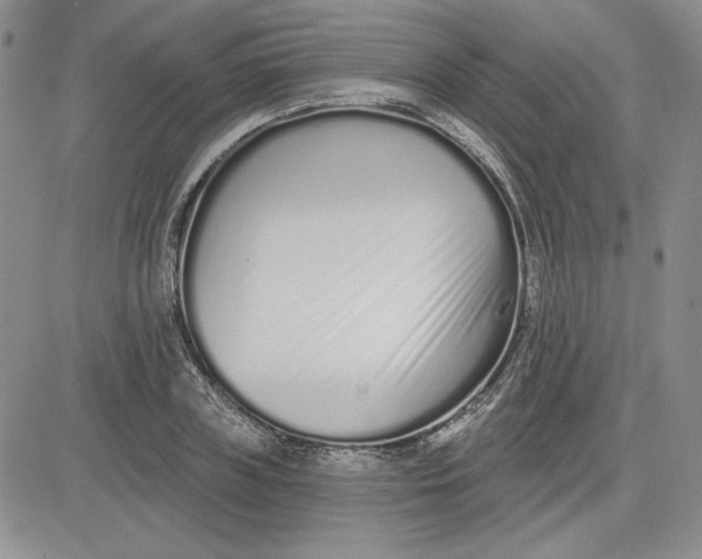 X0000081420835200701261552