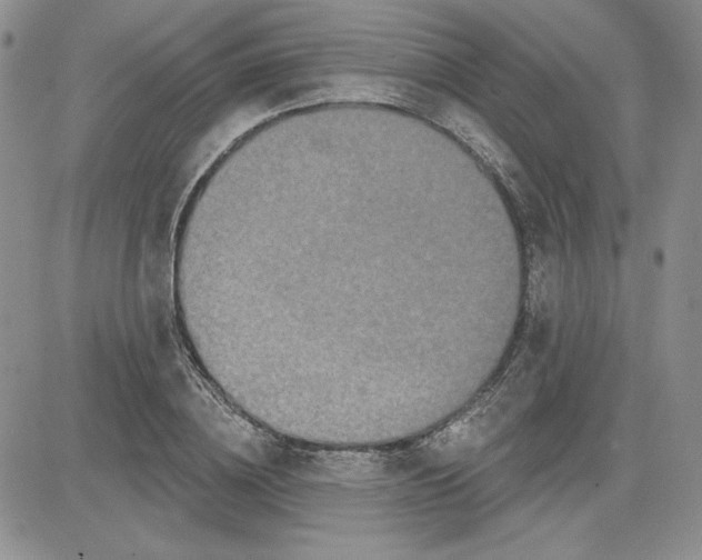 X0000081420836200701261552