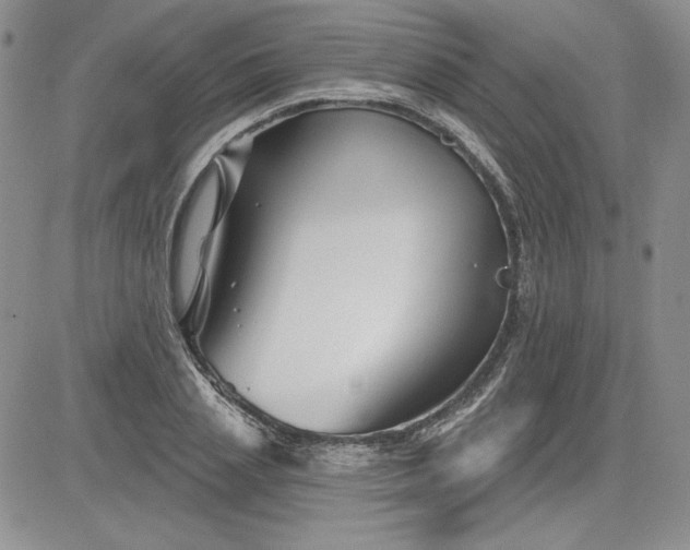 X0000081420837200701261552