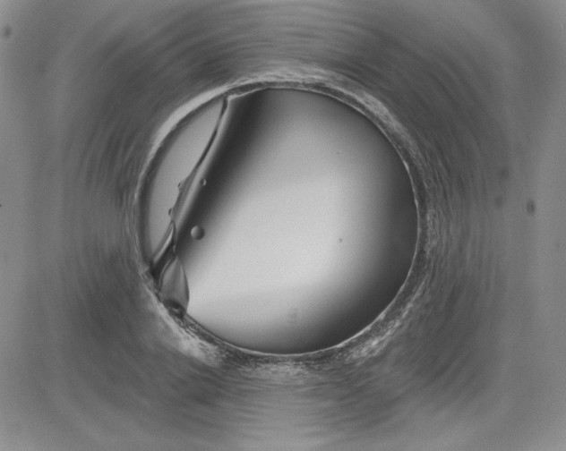 X0000081420838200701261552