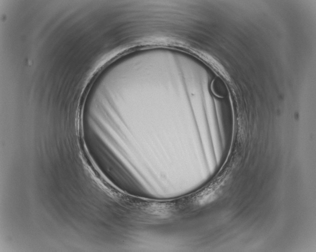 X0000081420839200701261552