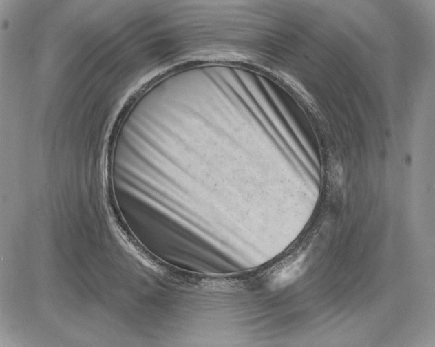 X0000081420840200701261552