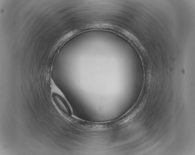 X0000081420841200701261552