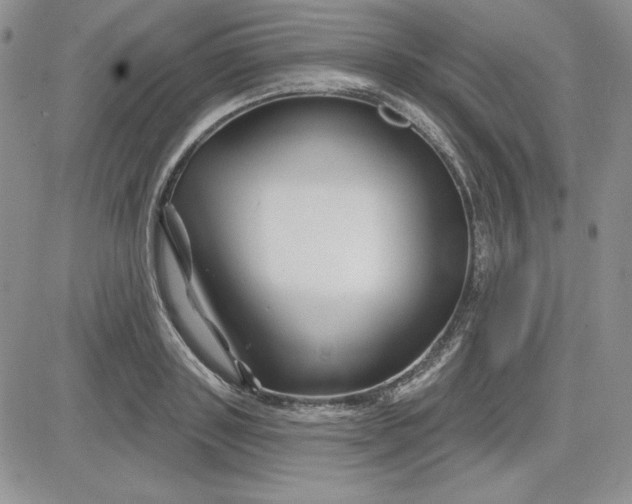 X0000081420843200701261552